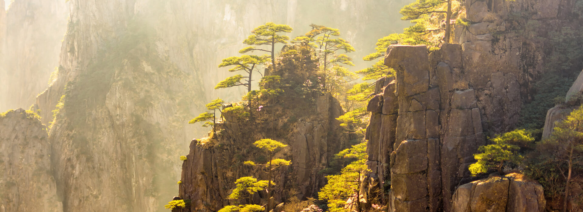 Tailor-Make a Huangshan Photo Tour